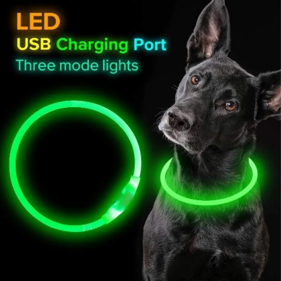 LED Safety Collar USB Charge No Battery Needed Ever - Picture 4 of 10